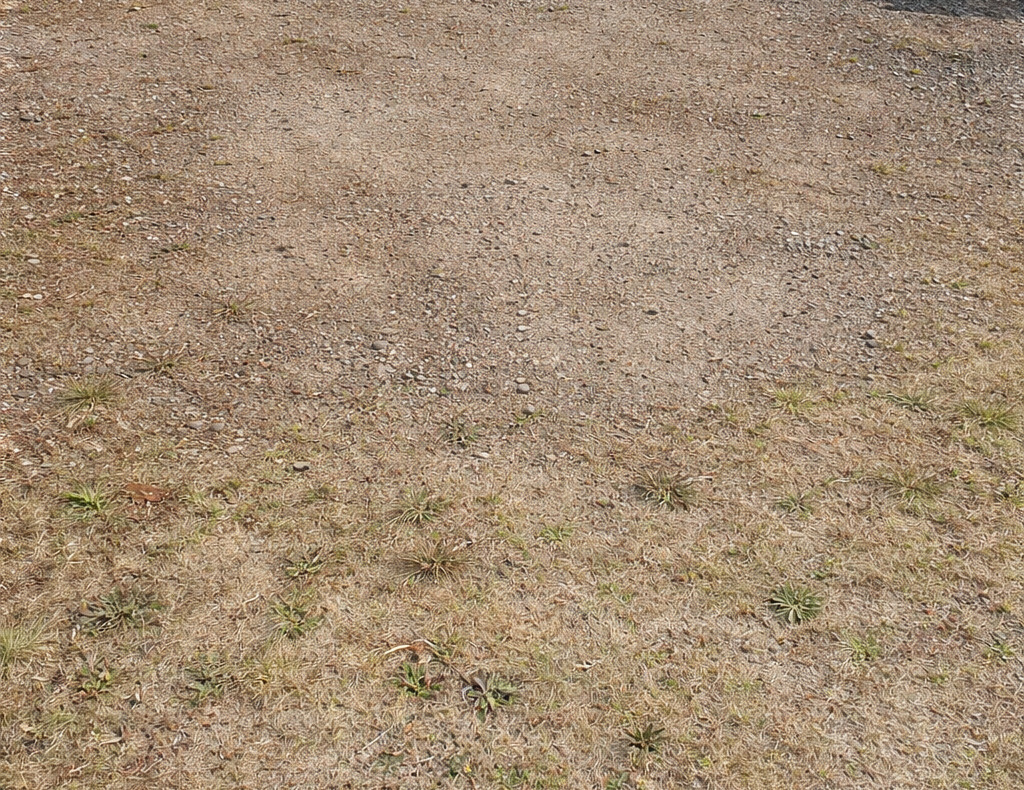 阿佐ヶ谷での回収後の様子